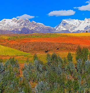 ancash_peru